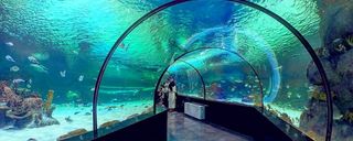 آکواریوم اصفهان آکواریوم اصفهان