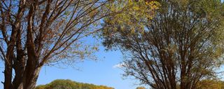 دشت ارژن دشت ارژن