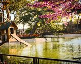 Yildiz Park Yildiz Park
