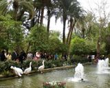 باغ گلشن طبس باغ گلشن طبس