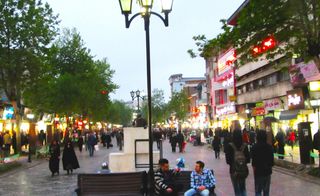 خیابان علم الهدی خیابان علم الهدی