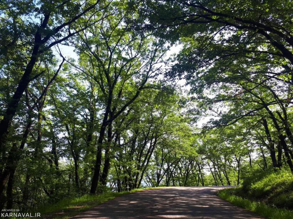 پارک ملی گلستان