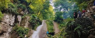 پارک ملی گلستان پارک ملی گلستان