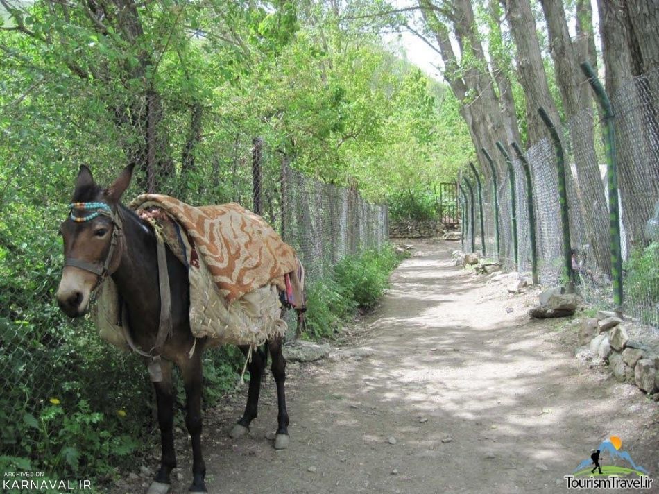 آشنایی با روستای آهار آهار به شکراب | Photo by : Unknown