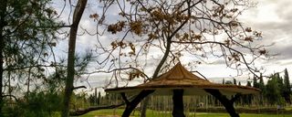 پارک جنت شیراز پارک جنت شیراز