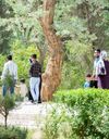 باغ گلشن باغ گلشن
