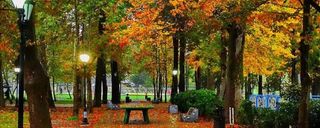 پارک شهر رشت پارک شهر رشت