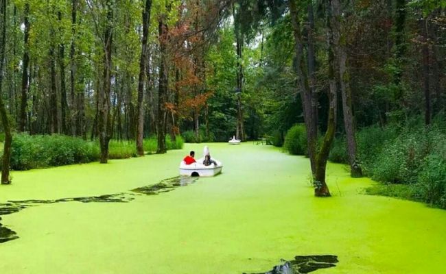 دریاچه سراوان رشت دریاچه سراوان رشت