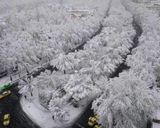 بلوار کشاورز بلوار کشاورز