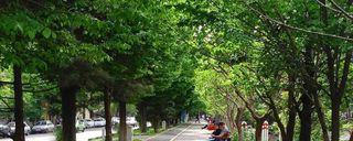 بلوار کشاورز بلوار کشاورز