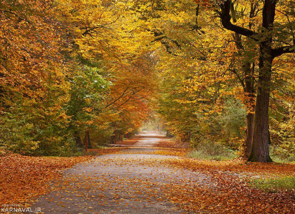 پارک ملی گلستان