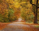 پارک ملی گلستان پارک ملی گلستان