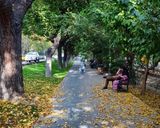 بلوار کشاورز بلوار کشاورز