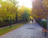 پارک هنرمندان تهران پارک هنرمندان تهران