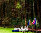 دریاچه سراوان رشت دریاچه سراوان رشت