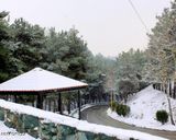 پارک لویزان تهران پارک لویزان تهران