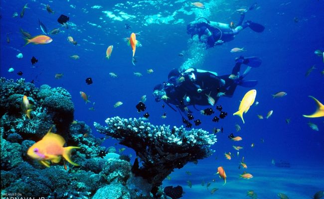 غواصی در قشم غواصی در قشم