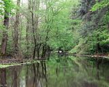 دریاچه سراوان رشت دریاچه سراوان رشت