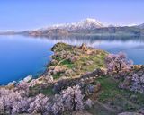 کلیسای صلیب مقدس شهر وان ترکیه کلیسای صلیب مقدس شهر وان ترکیه