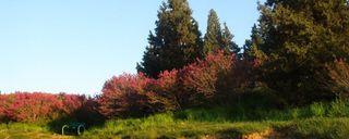 سرخه حصار تهران سرخه حصار تهران