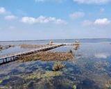 تالاب امیرکلایه تالاب امیرکلایه