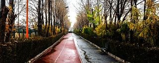 جاده تندرستی باشگاه انقلاب جاده تندرستی باشگاه انقلاب