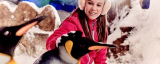 پیست اسکی دبی پیست اسکی دبی