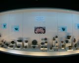 موزه آنتالیا ترکیه موزه آنتالیا ترکیه