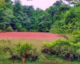 تالاب کنیچال یا مرداب هسل تالاب کنیچال یا مرداب هسل