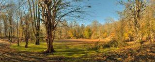 تالاب کنیچال یا مرداب هسل تالاب کنیچال یا مرداب هسل