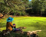 تالاب کنیچال یا مرداب هسل تالاب کنیچال یا مرداب هسل