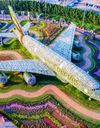 ایرباس A380 باغ گل ایرباس A380 باغ گل