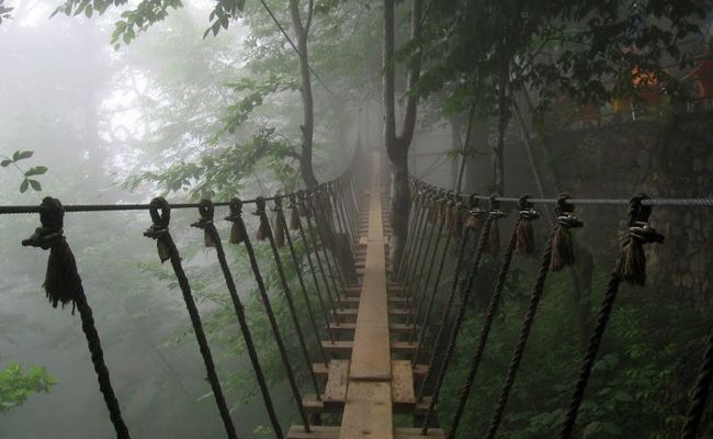 پل معلق رامسر پل معلق رامسر