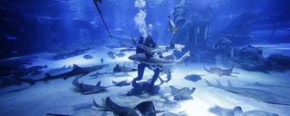 آکواریوم آنتالیا آکواریوم آنتالیا