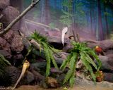 آکواریوم آنتالیا آکواریوم آنتالیا