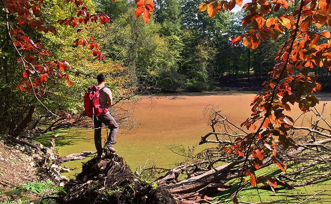 تالاب کنیچال یا مرداب هسل تالاب کنیچال یا مرداب هسل