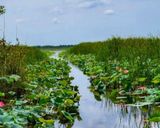 تالاب امیرکلایه تالاب امیرکلایه