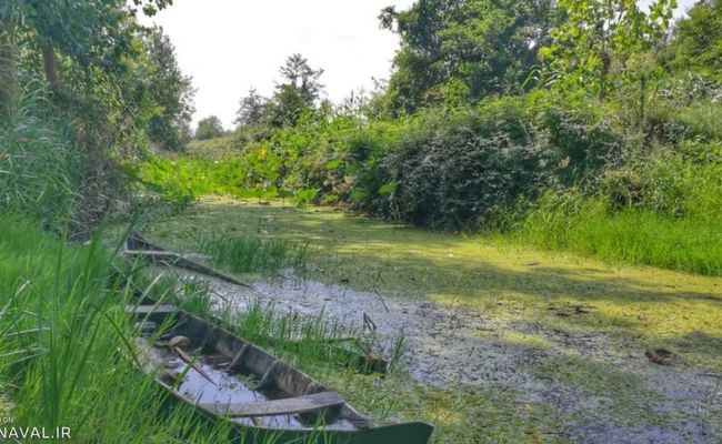 تالاب امیرکلایه تالاب امیرکلایه