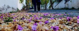 جزیره بویوک آدا استانبول جزیره بویوک آدا استانبول