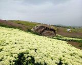 ییلاق سلانسر گیلان ییلاق سلانسر گیلان