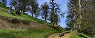 ییلاق سلانسر رستم آباد ییلاق سلانسر رستم آباد