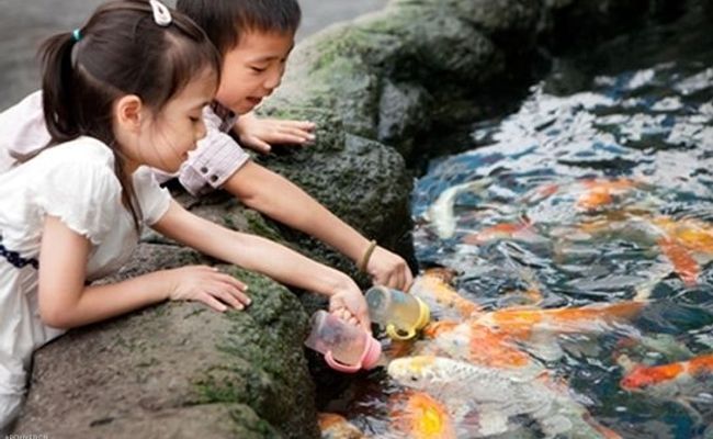 آکواریوم دنیای زیر آب پاتایا آکواریوم دنیای زیر آب پاتایا