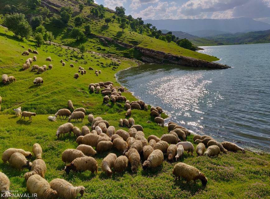 تنگه کافرین | Photo by : Raha Shirazi