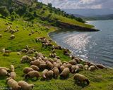 تنگه کافرین تنگه کافرین