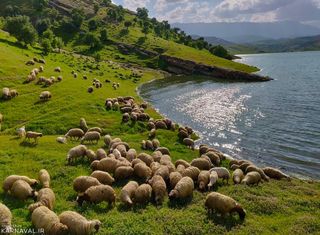 تنگه کافرین ایلام تنگه کافرین | Photo by : Raha Shirazi