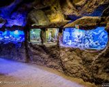 غار آکواریوم گنجنامه همدان غار آکواریوم گنجنامه همدان