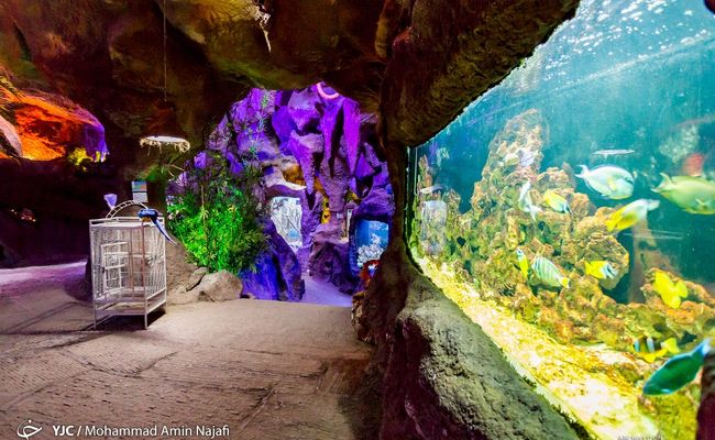 غار آکواریوم گنجنامه همدان غار آکواریوم گنجنامه همدان