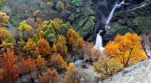 آبشار شلماش سردشت آبشار شلماش سردشت