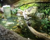 غار آکواریوم گنجنامه همدان غار آکواریوم گنجنامه همدان