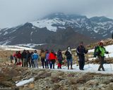 دشت هویج دشت هویج